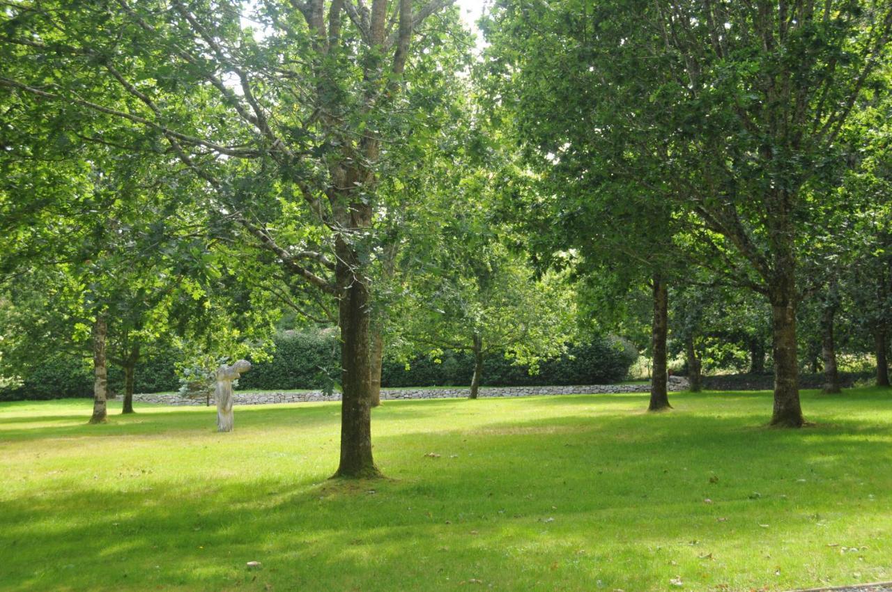 Pinetum Gardens Retreats Camping