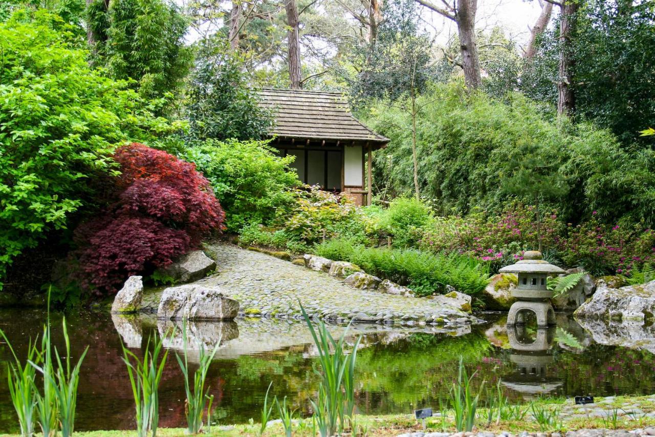 Camping Pinetum Gardens Retreats St Austell